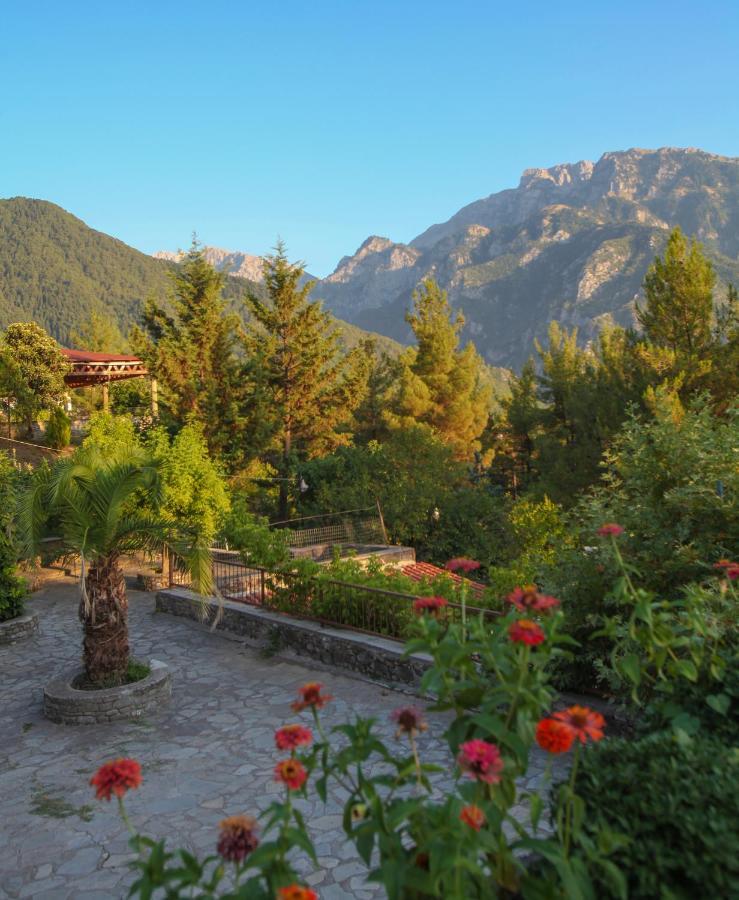 Konitsa Panorama Hotel Ngoại thất bức ảnh
